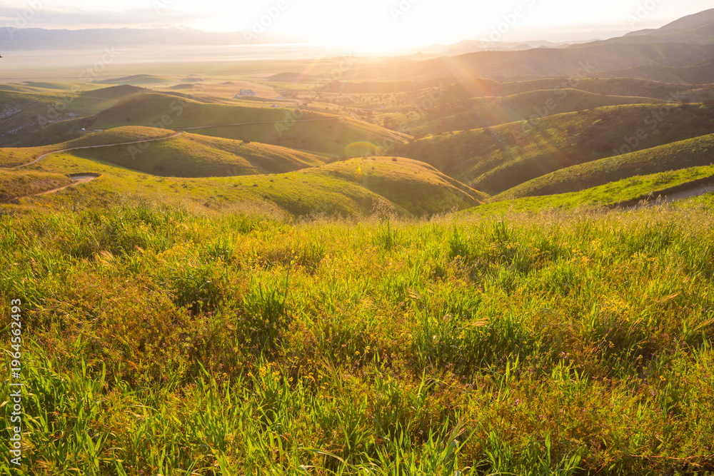 Obraz premium Green hills