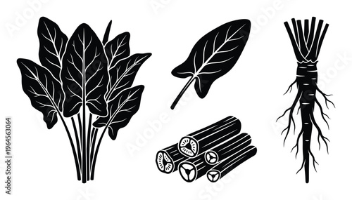 Burdock root and leaves set with sliced pieces hand drawn black monochrome vector line art isolated