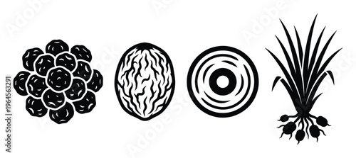Cluster of plums, nutmeg, concentric circles and plant with bulbs, black silhouette vector icons