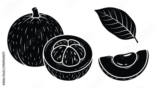 Mangosteen fruit vector black silhouettes set isolated on transparency background for design