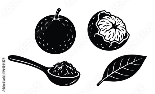 Monochrome illustration of monk fruit with peeled shell herbal tea on spoon and leaf for sweetener