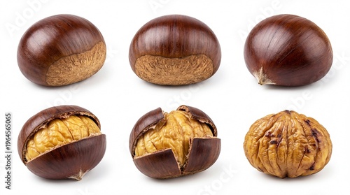 Set of six roasted and raw chestnuts isolated on white background