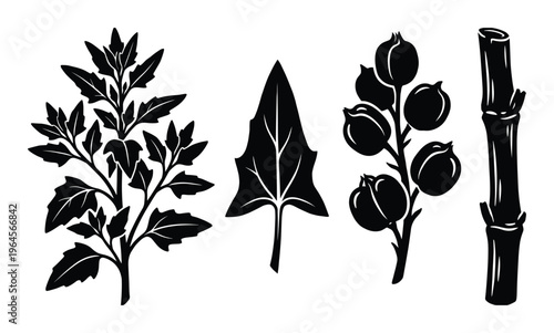 Set of black silhouettes of spinach plant, leaf, seeds, and bamboo stick vector illustration