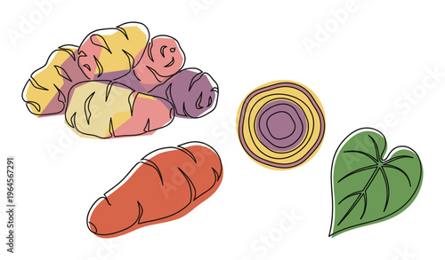 Sweet potato tubers in various colors, sliced cross-section, and a sweet potato leaf