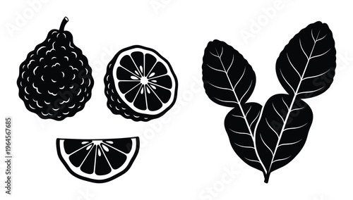 Whole and sliced bergamot fruit with leaves set isolated on transparent background