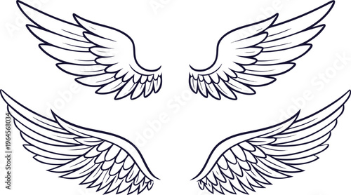 Angel wings set with multiple styles light feather