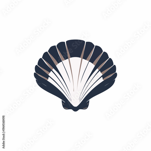 Black and White Seashell Isolated on White.