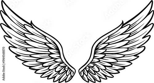 Black and white of angel wings with detailed feather texture feathers