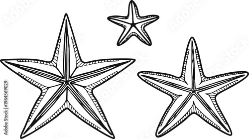 Black and white starfish doodles with layered strokes chalk