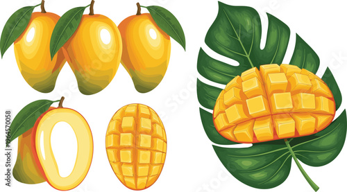 Mango fruit collection with whole sliced cross cut and leaf composition tropical vector illustration isolated on white background