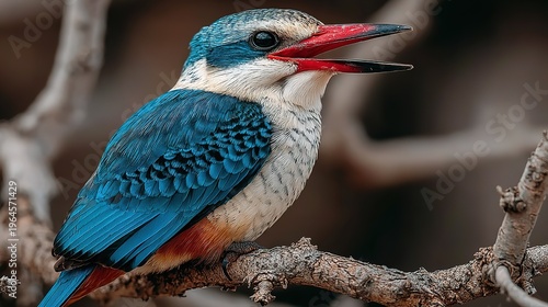 Vibrant Blue Striped Kingfisher with Bright Red Beak Perched on Gnarled Dry Branch, Detailed Wildlife Close-up in Natural Wilderness Habitat