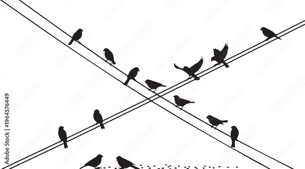 Fototapeta premium Skiing in a Winter Mountain Landscape with Birds Silhouettes and Nature Patterns
