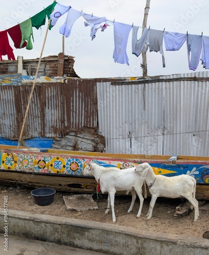 Sénégal, Saint-Louis