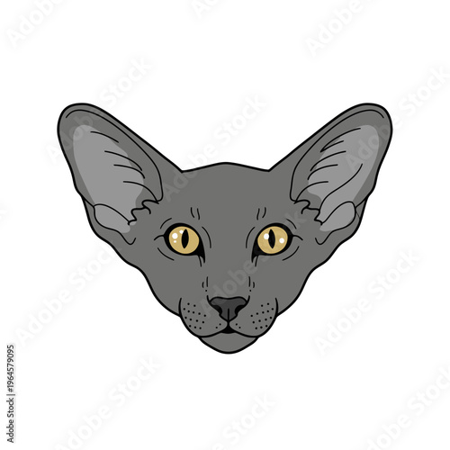 Oriental Shorthair Grey Cat Face Vector Illustration - Isolated Cartoon Pet Head Icon