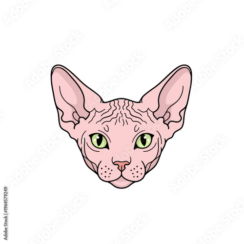 Sphynx Cat Head Vector Illustration - Hairless Pink Feline with Green Eyes