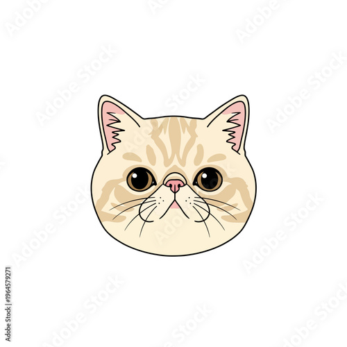 Cute Exotic Shorthair Cat Head Vector Illustration - Adorable Flat-Faced Ginger Tabby Kitten Portrait Icon