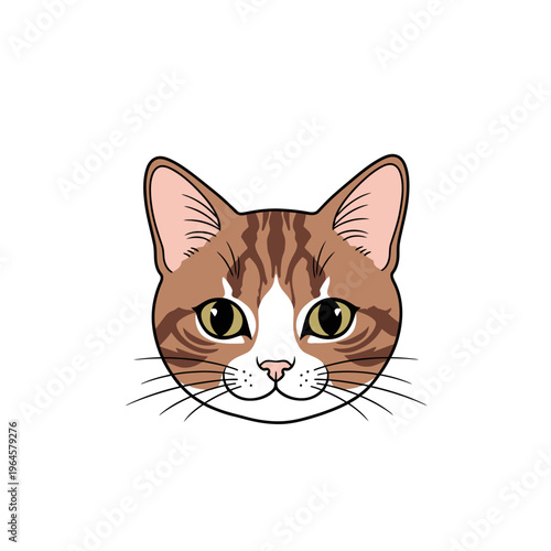 Cute Brown and White Tabby Cat Face Vector Illustration, Adorable Kitten Portrait Mascot Isolated on White Background