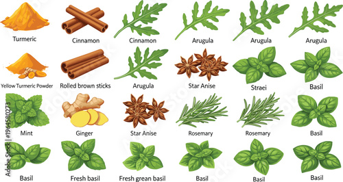 Illustration of assorted herbs and spices including turmeric, cinnamon, basil, mint, ginger, rosemary, arugula, and star anise, perfect for culinary design, botanical artwork, and educational