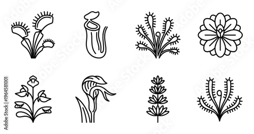 Carnivorous plants and exotic flowers icons set including venus flytrap pitcher plant and sundew art