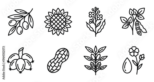 Collection of eight plant and seed line art icons with transparent background. Food elements