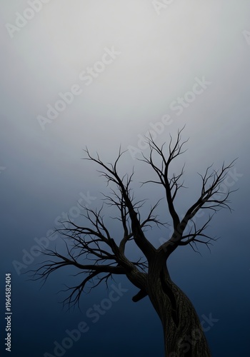 Moody Landscape with Bare Tree Silhouette Against Gradient Sky