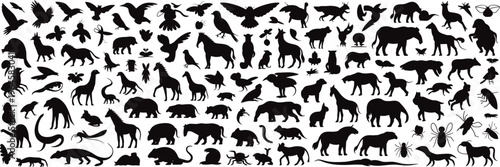 Black animal silhouettes, wildlife icons, vector animals, 100+ animal shapes