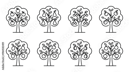 Fruit trees in line art style apple pear cherry orange lemon and other fruit illustrations.