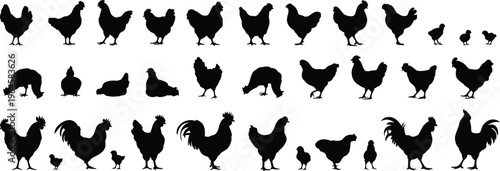 Black chicken silhouettes, rooster icons, poultry set, farm animal graphics