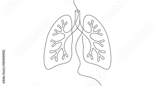 Minimalist single line drawing of human lungs and trachea showing internal structure and airways symbolizing respiration health and medical science