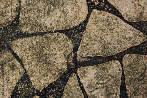 Texture of green moss and algae growing on a damp stone walkway