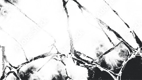 Distorted checkerboard background with abstract black and white fracture lines and a central white rectangle for text.