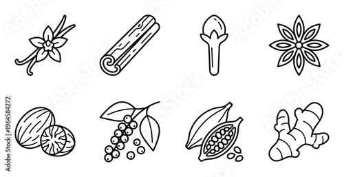 Natural aromatic spice icons set including vanilla cinnamon clove star anise and organic ginger root