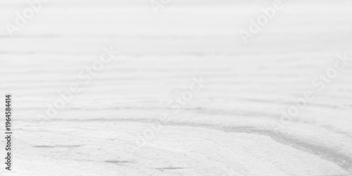 Natural light gray wood grain texture background with elegant wavy organic lines and soft abstract timber patterns