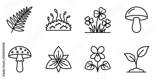 Outline icons of forest nature elements, fern, mushroom, clover, and young plant sprout