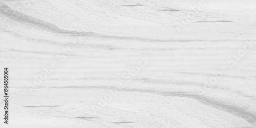 Natural light gray wood grain texture background with elegant wavy organic lines and soft abstract timber patterns