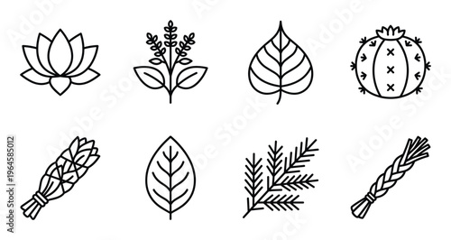 Sacred plants line icons set with lotus flower cactus sage bundle and aromatic medicinal herb leaves