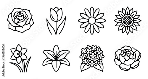 Set of beautiful flower icons outline vector on transparent background