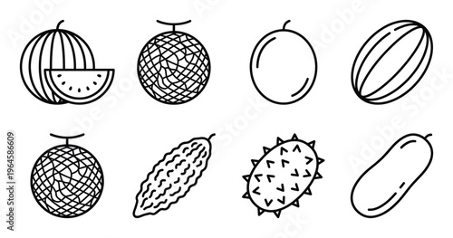 Set of eight stylized fruit line icons: watermelon, melon, plum, cantaloupe, cucumber, and kiwano.