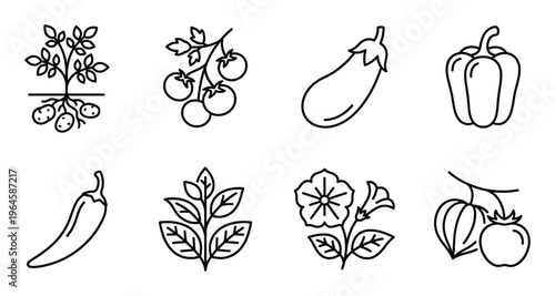 Vegetable icons set on transparent background, outline drawings of fresh produce
