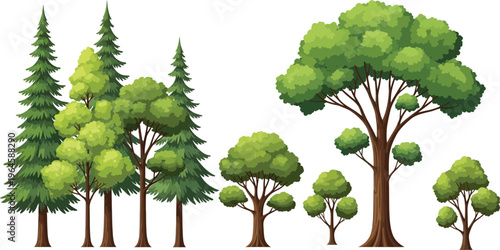 A vibrant collection of diverse green trees, featuring both towering coniferous pines and lush deciduous broadleaf trees, in a cheerful illustration.