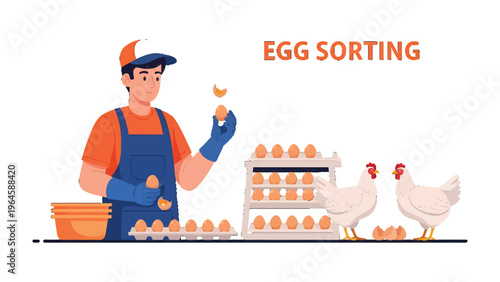 Egg Sorting Process: A farm worker carefully examines eggs, a scene that showcases the meticulous process of sorting in an agricultural setting. This image highlights the diligence of a farm worker.