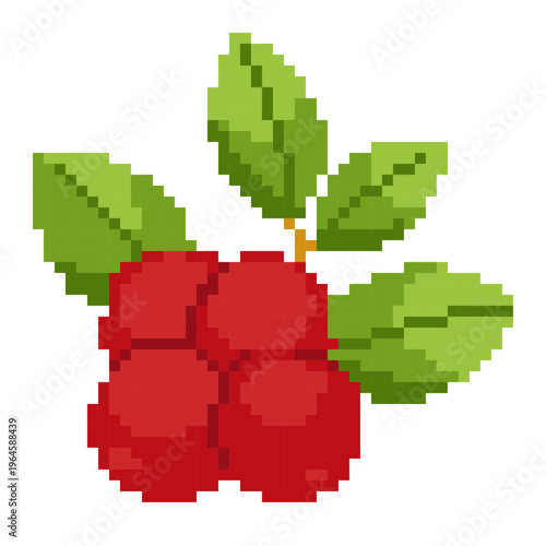 Pixel Art Lingonberry - Pixel Boyama Art Sample