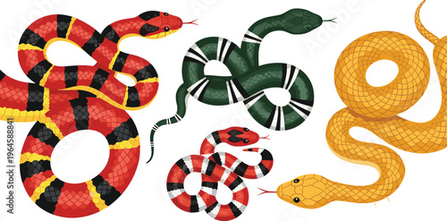 Set of colorful snakes in different patterns isolated on white background reptile wildlife vector illustration collection