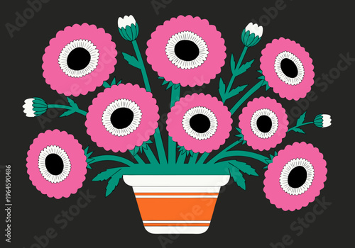 Pink garden daisies (Bellis perennis) in a flower pot on a dark gray background icon


