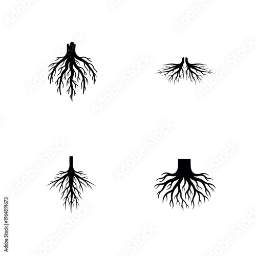 Tree Root and Underground Plant Structure Silhouette Vector Icon Set