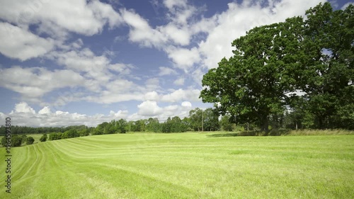 An old oak tree with large branches stands on a hilltop. Below cars passing by fields along the highway. It is summer sunny weather. Latvia. High quality 4k footage. High quality 4k footage