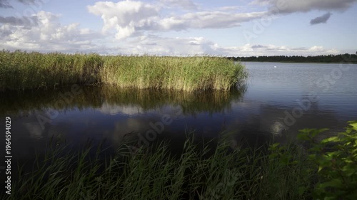 A lake in LatA lake in Latvia on a sunny summer day. A popular spot for anglers and birdwatchers is Lake Caniers. Sunny summer day. A crane flies over the reeds