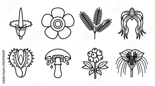 Exotic flowers and tropical plants icon set with diverse botanical species in linear outline design