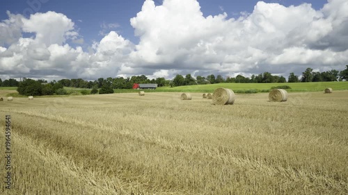 Panorama of agricultural fields on a sunny summer day. Mown grain and compressed round haystacks on the hills. Latvia
