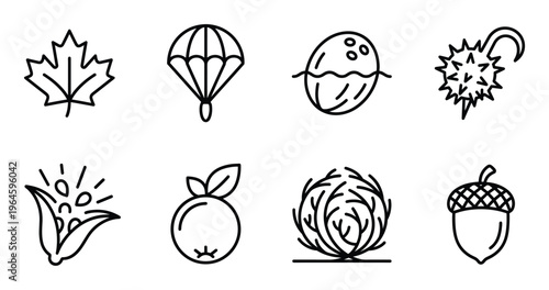 Seed dispersal and autumn symbols set featuring maple leaf coconut acorn tumbleweed and chestnut pod